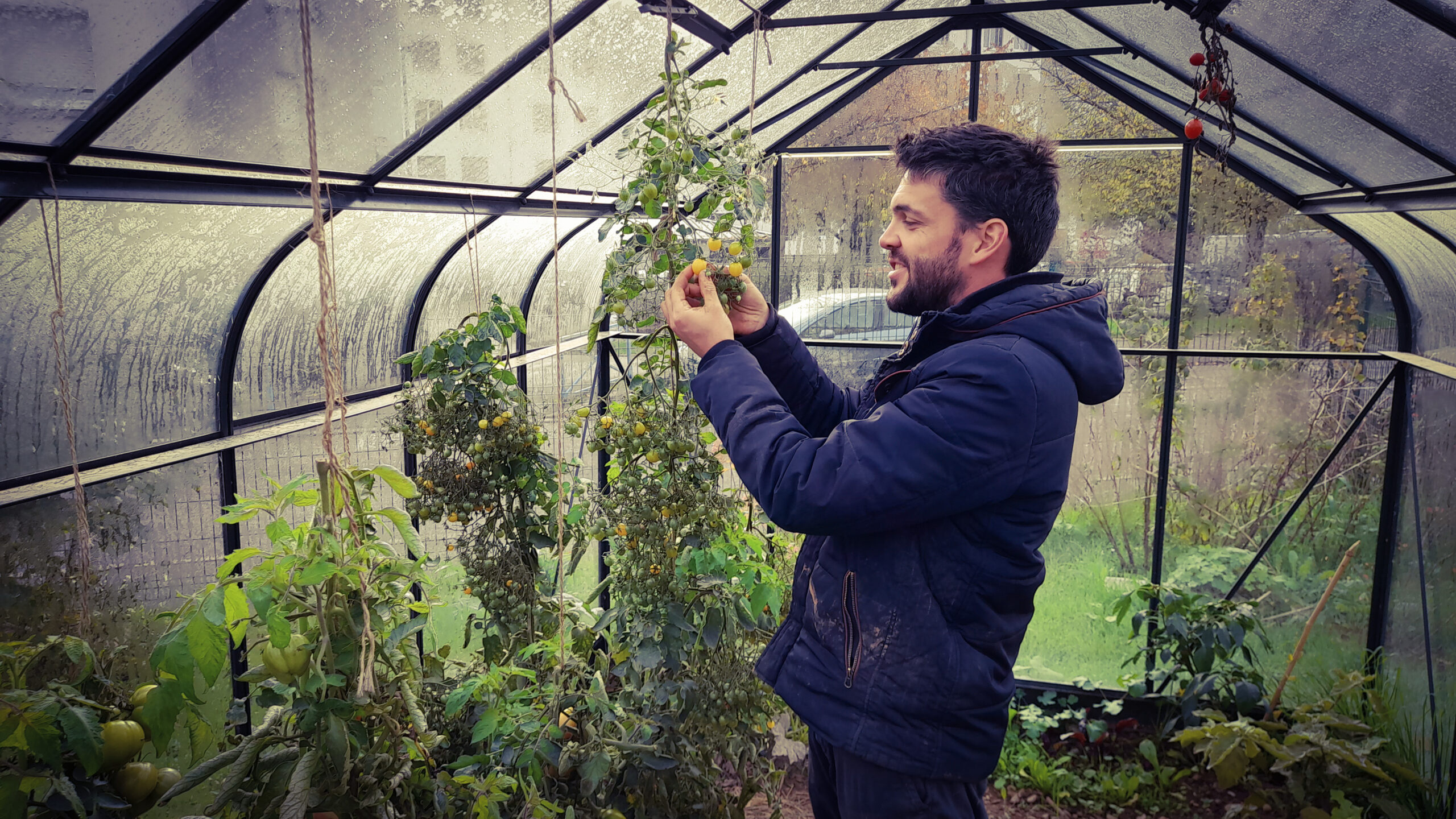 Jardin partagé