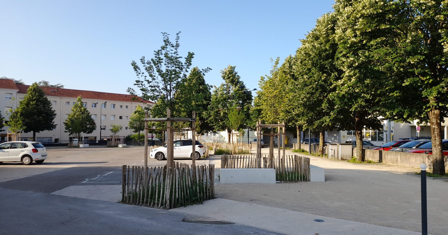 20/06 – Inauguration de la place des Tilleuls désimperméabilisée et du Café des Tilleuls