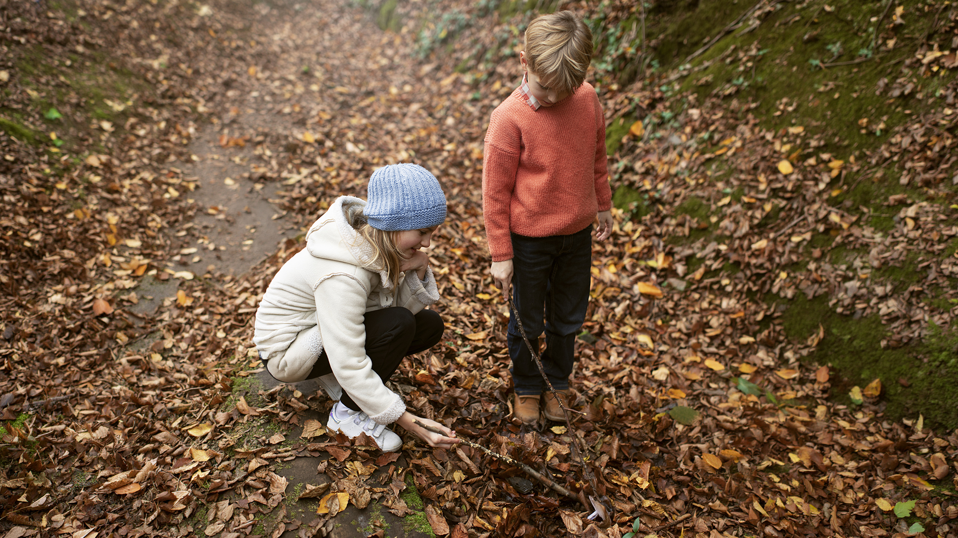 Copains des bois